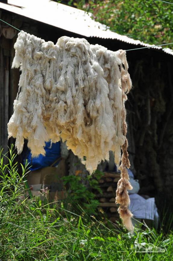 Lã de carneiro secando em varal, em Caleta Tortel, no sul do Chile